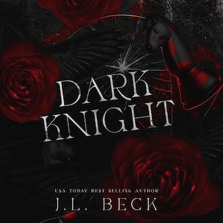 Couverture_Dark Knight