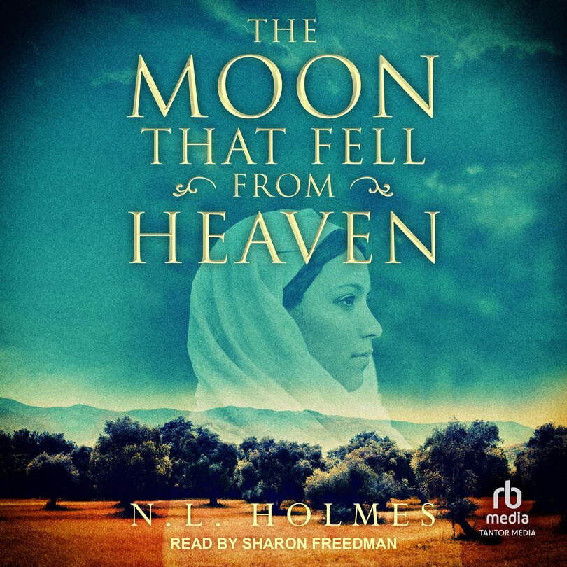 Couverture_The Moon That Fell From Heaven