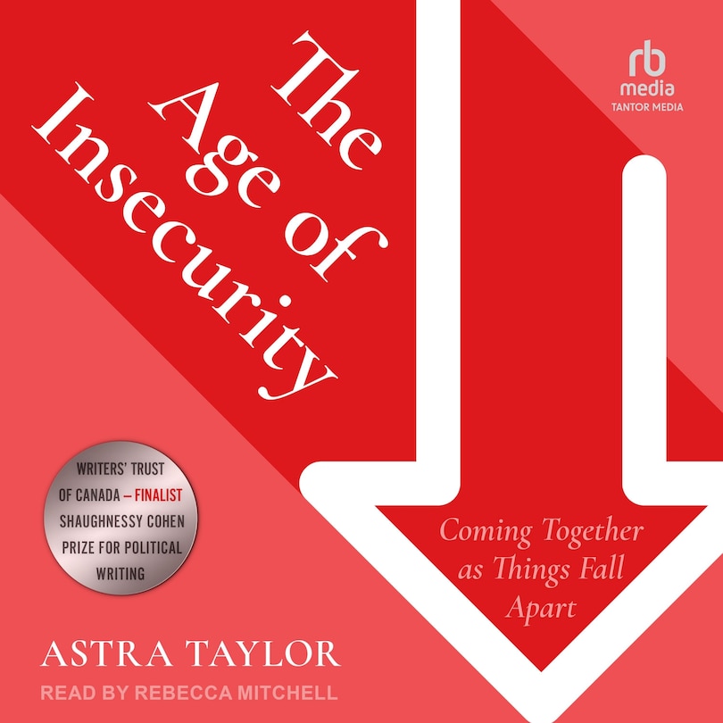 Front cover_The Age of Insecurity