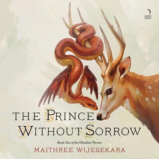 Front cover_The Prince Without Sorrow