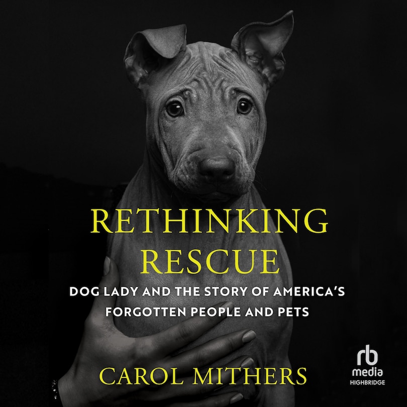 Front cover_Rethinking Rescue