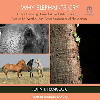 Couverture_Why Elephants Cry