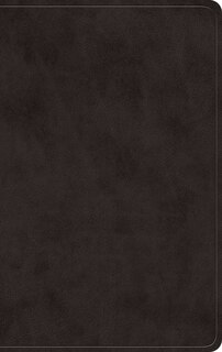 Couverture_ESV Giant Print Value Personal Size Bible (TruTone, Black)