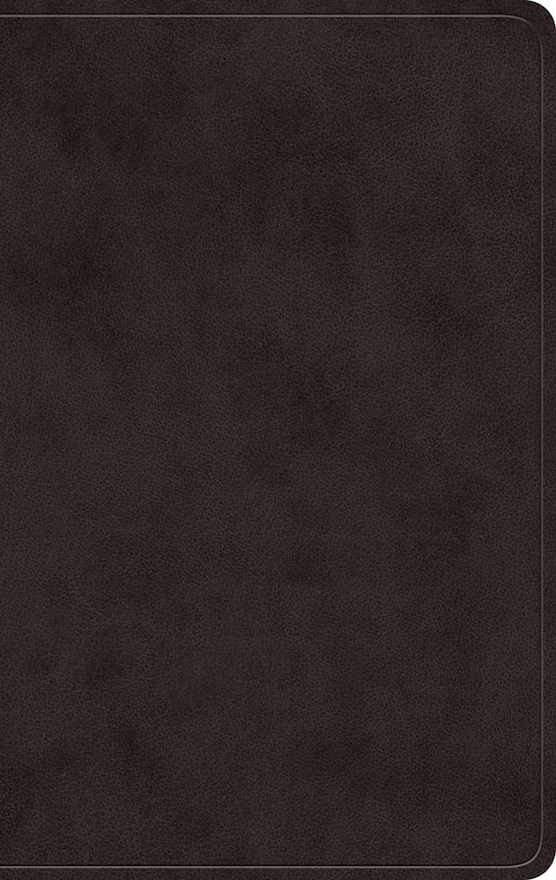 Couverture_ESV Giant Print Value Personal Size Bible (TruTone, Black)