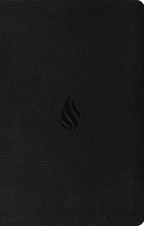 Front cover_ESV Premium Gift Bible, Red Letter (TruTone, Midnight, Flame Design)