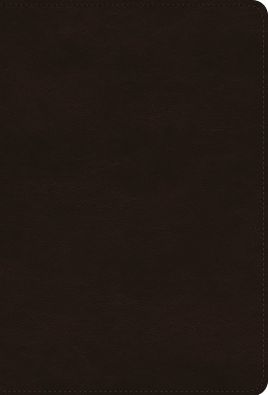 Front cover_ESV Giant Print Thinline Bible, Red Letter (TruTone, Deep Brown)