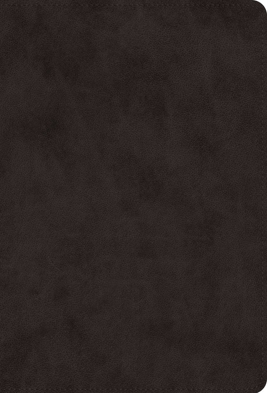 Couverture_ESV Giant Print Value Thinline Bible (TruTone, Black)