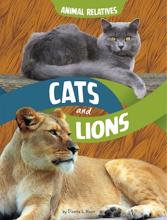 Couverture_Cats and Lions