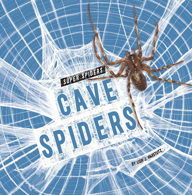 Front cover_Cave Spiders