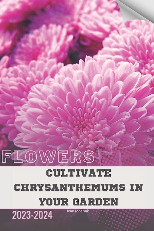 Front cover_Cultivate Chrysanthemums in Your Garden