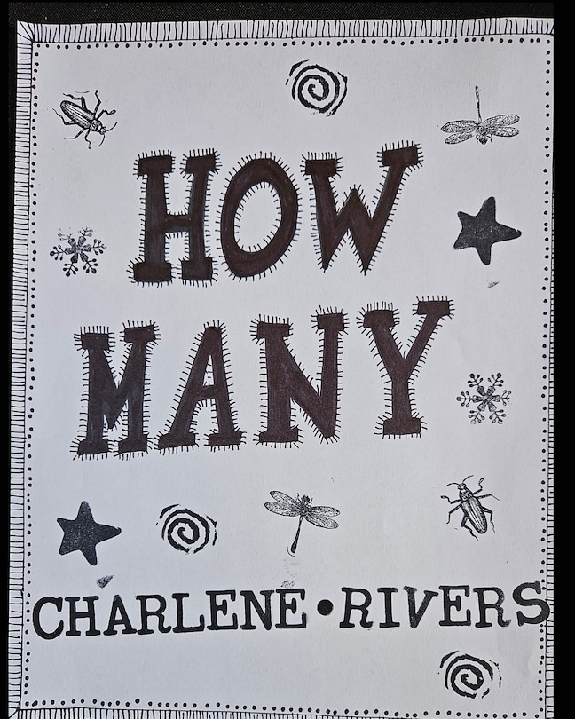 Couverture_How Many