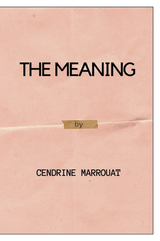 Couverture_The Meaning