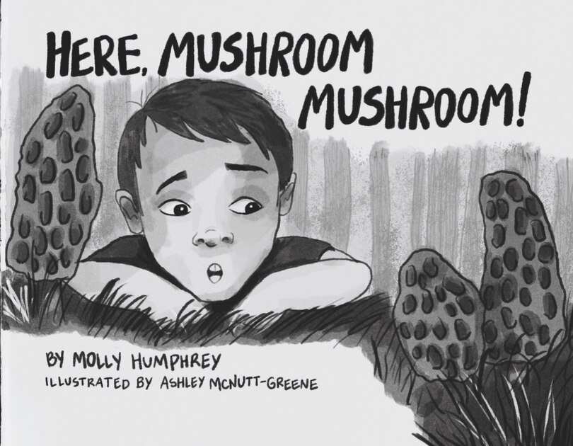 Couverture_Here, Mushroom Mushroom!