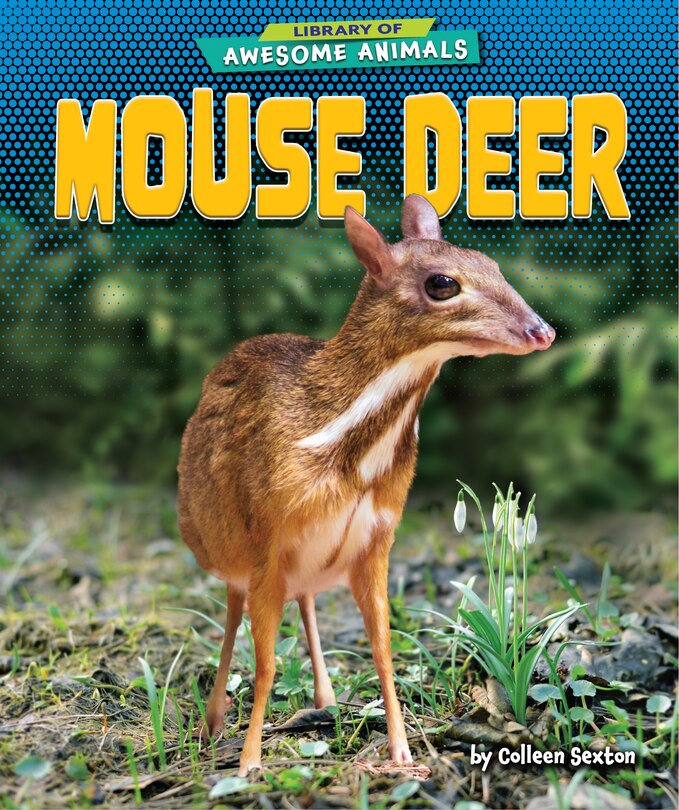 Couverture_Mouse Deer