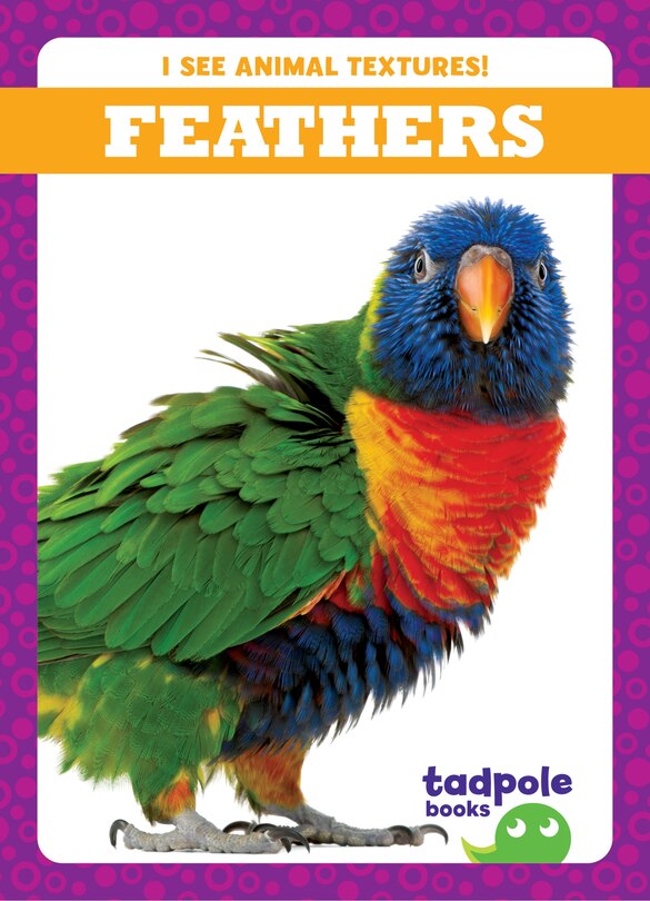 Couverture_Feathers