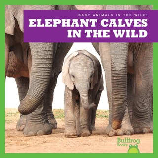 Couverture_Elephant Calves in the Wild