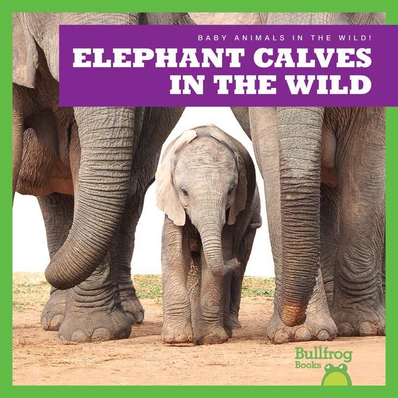 Couverture_Elephant Calves in the Wild