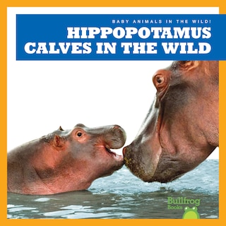 Couverture_Hippopotamus Calves in the Wild