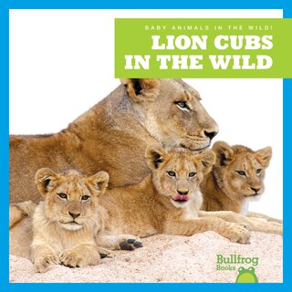 Front cover_Lion Cubs in the Wild