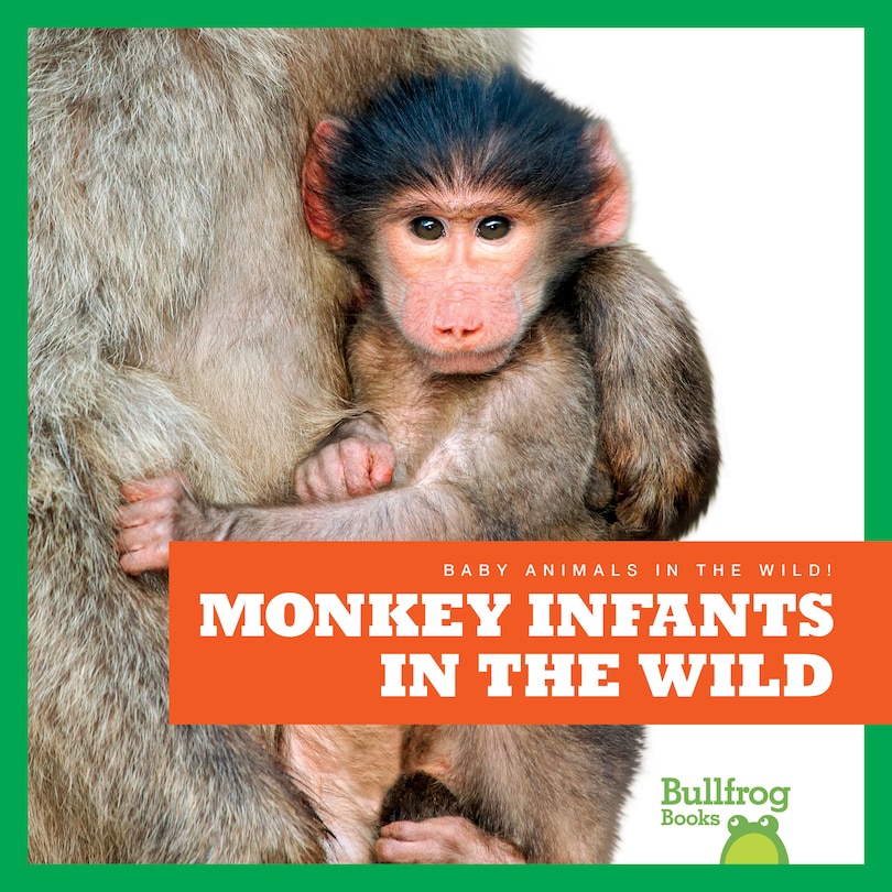 Front cover_Monkey Infants in the Wild