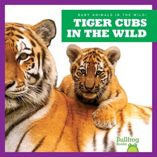 Front cover_Tiger Cubs in the Wild