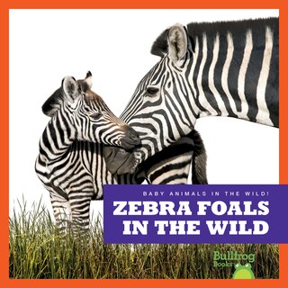 Couverture_Zebra Foals in the Wild