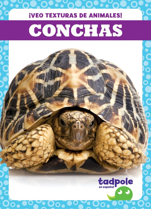 Front cover_Conchas (Shells)