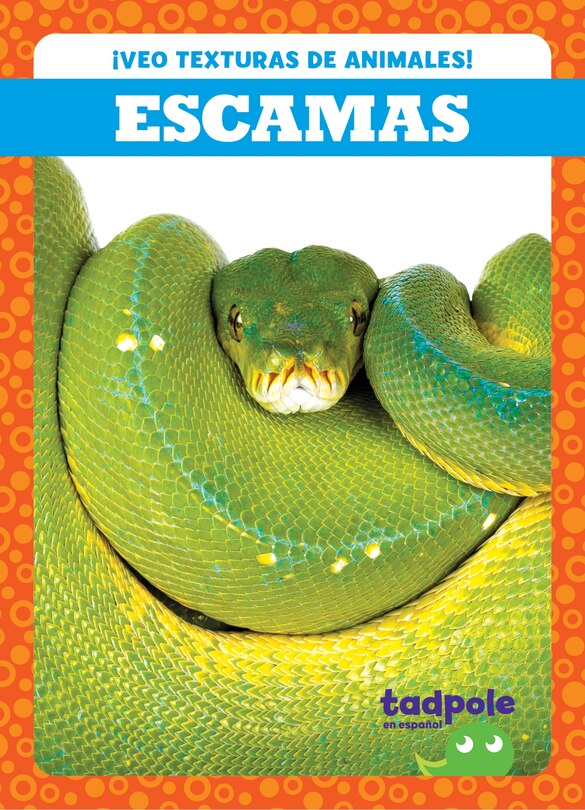 Front cover_Escamas (Scales)