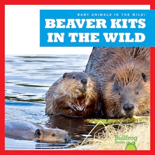 Front cover_Beaver Kits in the Wild