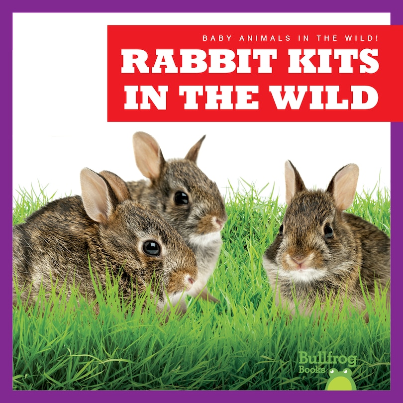 Front cover_Rabbit Kits in the Wild