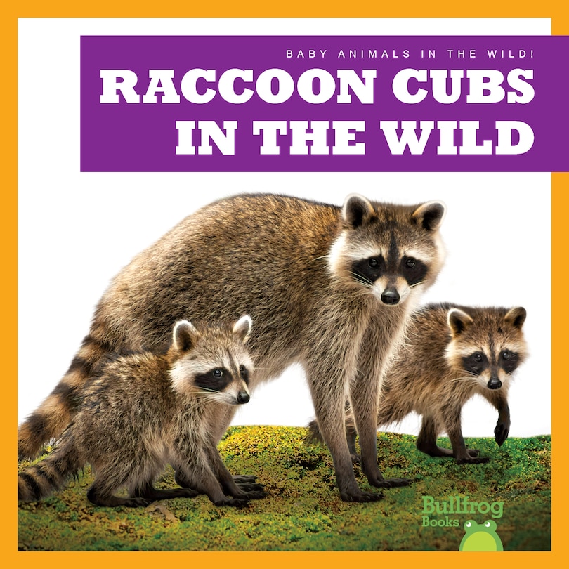 Front cover_Raccoon Cubs in the Wild