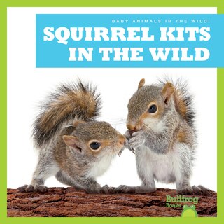 Front cover_Squirrel Kits in the Wild