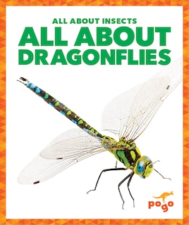 All about Dragonflies