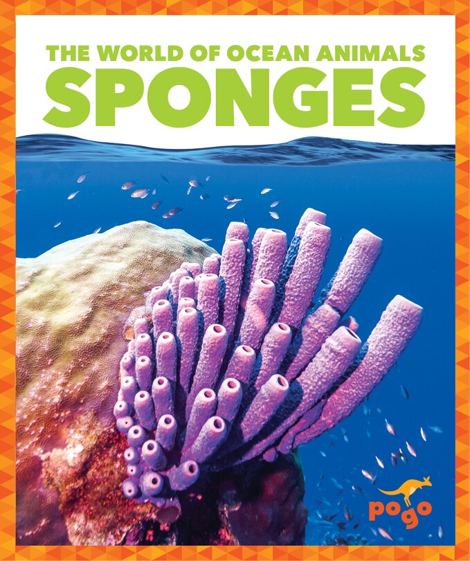 Front cover_Sponges