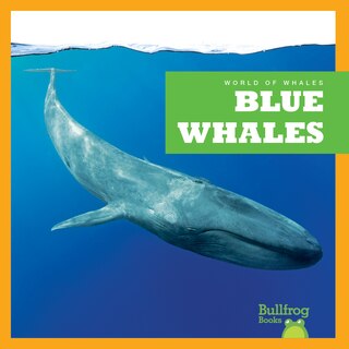 Couverture_Blue Whales