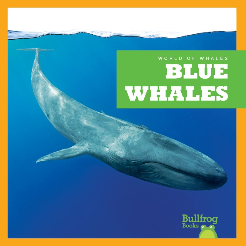 Couverture_Blue Whales