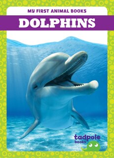 Front cover_Dolphins