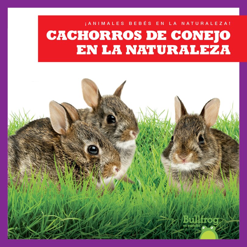 Couverture_Cachorros de Conejo En La Naturaleza (Rabbit Kits in the Wild)