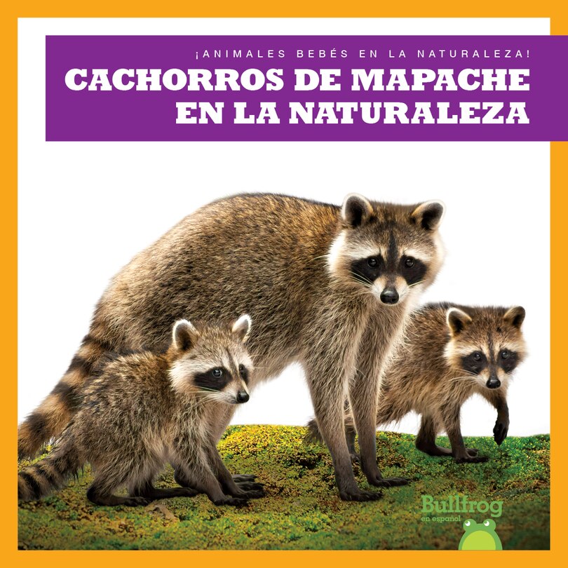 Couverture_Cachorros de Mapache En La Naturaleza (Raccoon Cubs in the Wild)