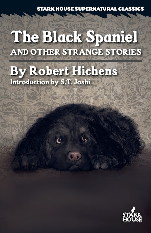 Front cover_The Black Spaniel and Other Strange Stories