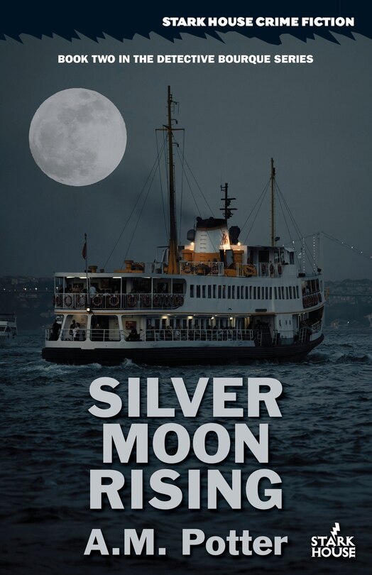 Front cover_Silver Moon Rising
