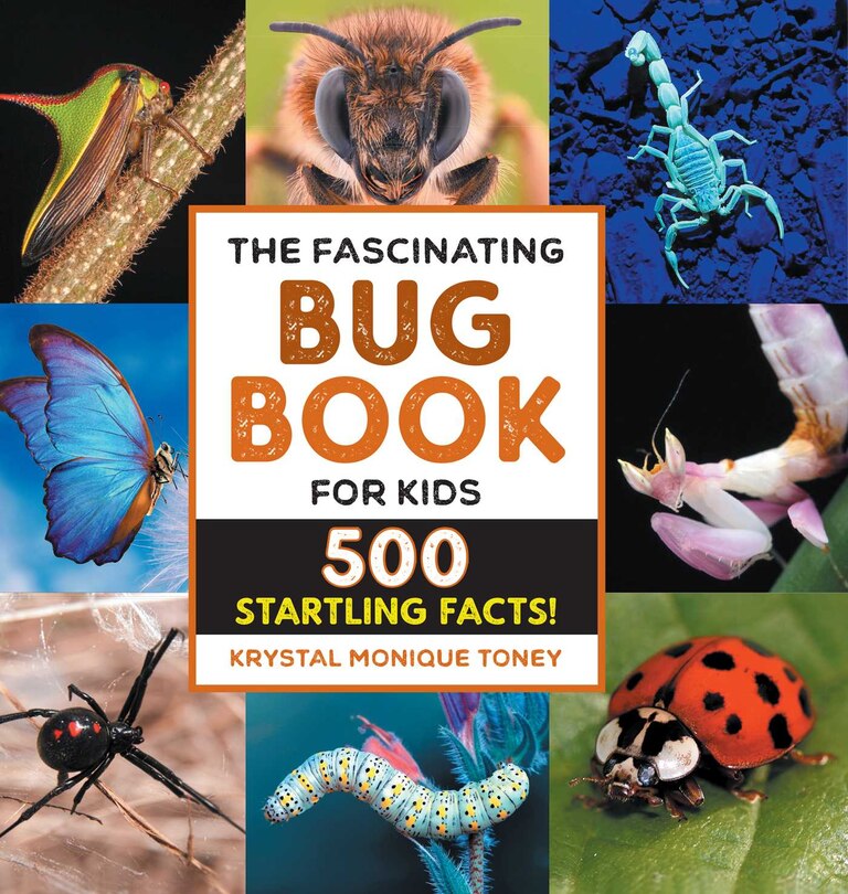 Couverture_The Fascinating Bug Book for Kids