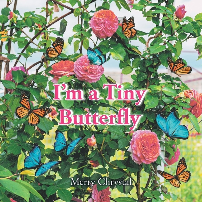 Front cover_I'm a Tiny Butterfly