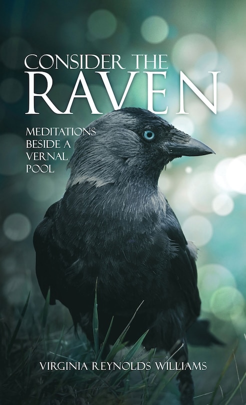 Couverture_Consider The Raven