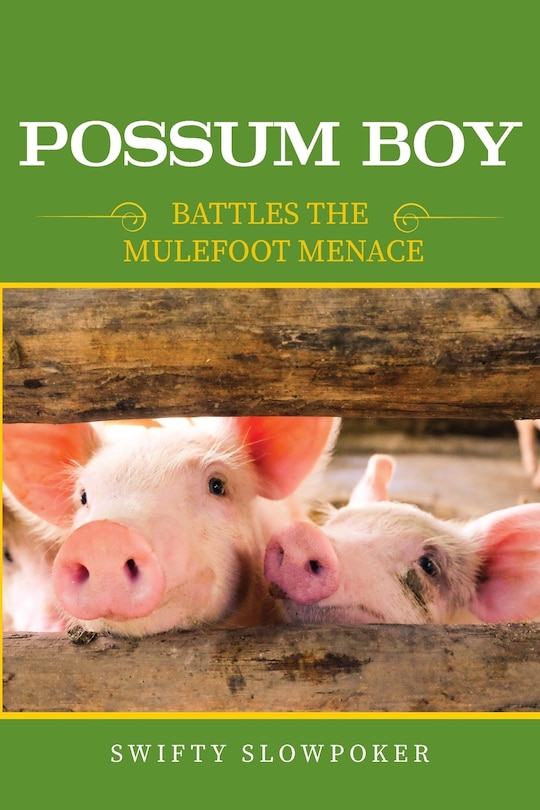 Couverture_Possum Boy