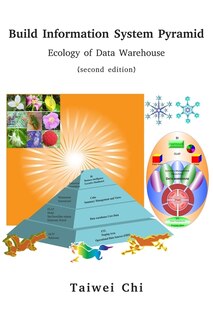 Front cover_Build Information System Pyramid