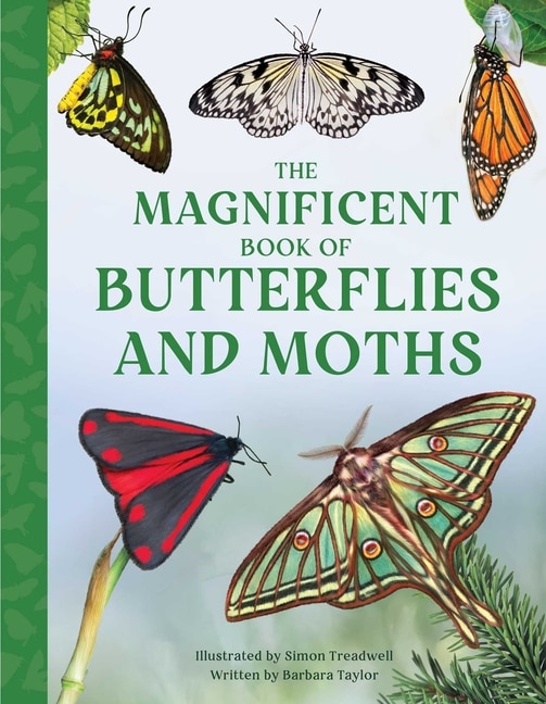 Front cover_The Magnificent Book of Butterflies and Moths