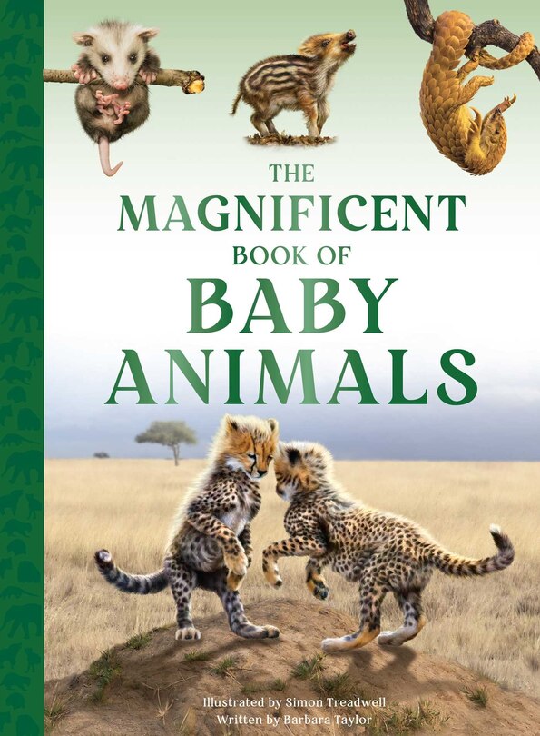 Front cover_The Magnificent Book of Baby Animals
