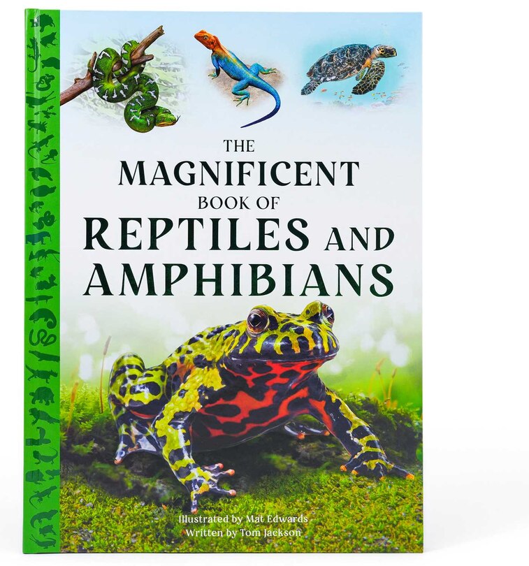Front cover_The Magnificent Book of Reptiles and Amphibians
