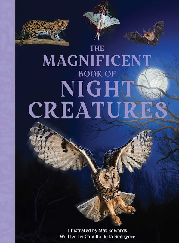 Front cover_The Magnificent Book of Night Creatures